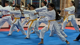 Escuelas de Karate en Bogotá